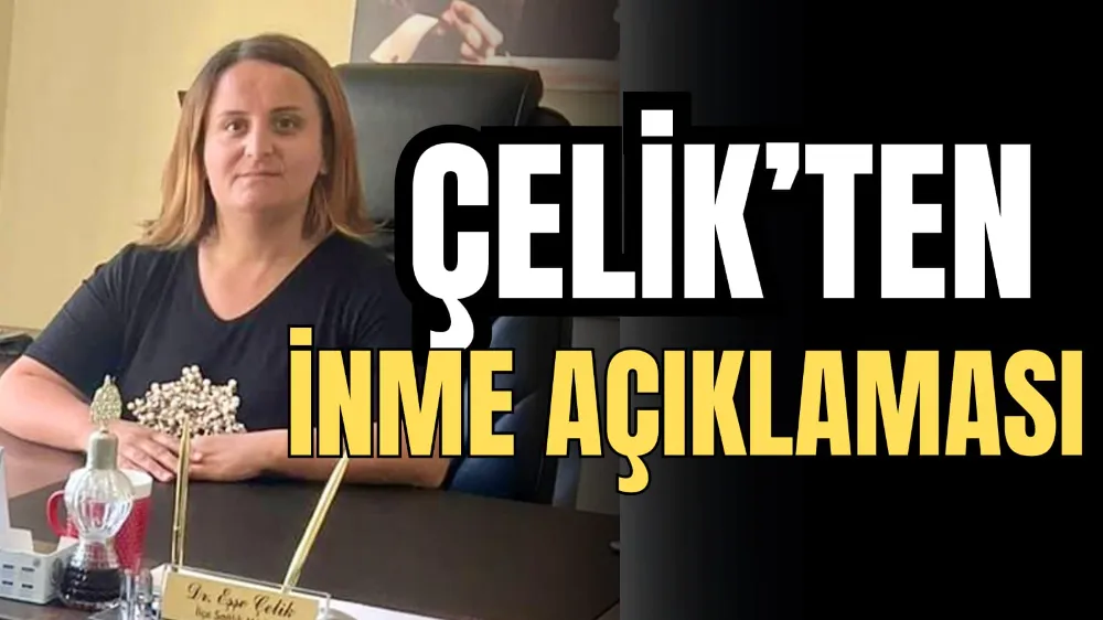 Çelik