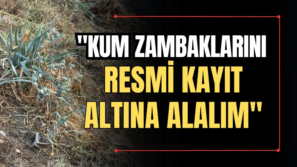 “Kum Zambaklarını Resmi Kayıt Altına Alalım” 