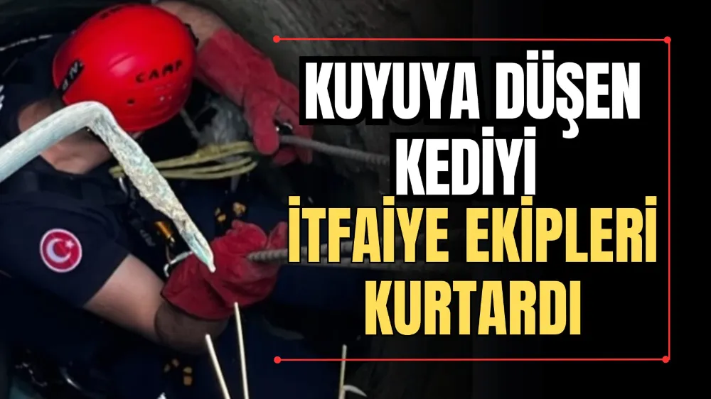 Kuyuya Düşen Kediyi İtfaiye Ekipleri Kurtardı 