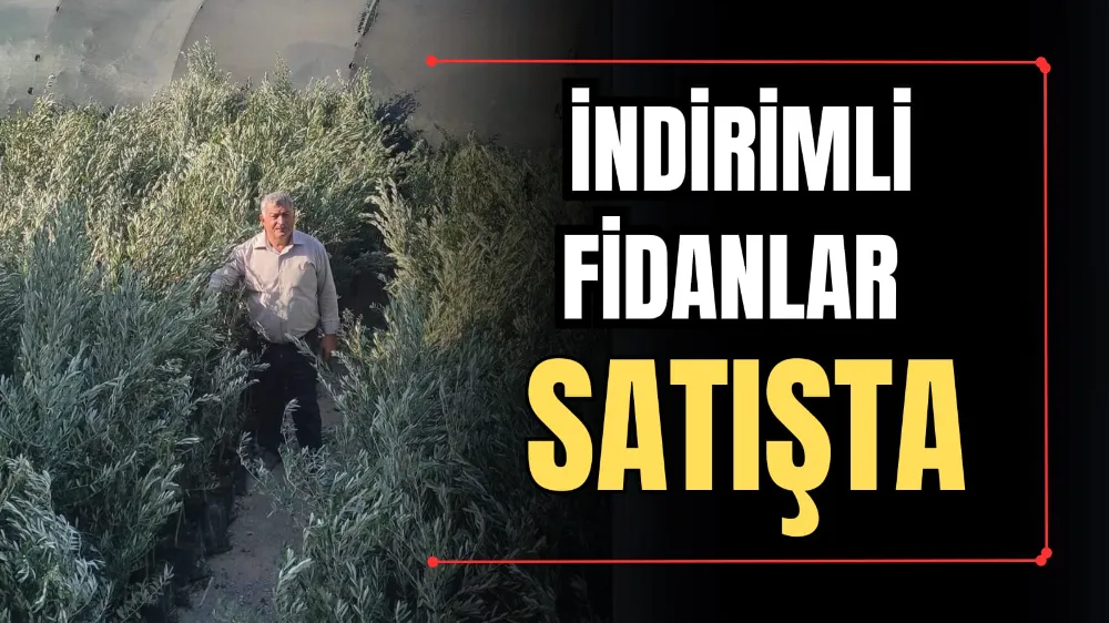 İndirimli Fidanlar Satışta 