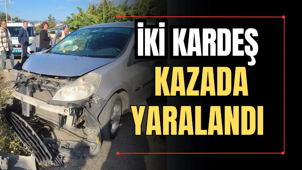 İki Kardeş Kazada Yaralandı 