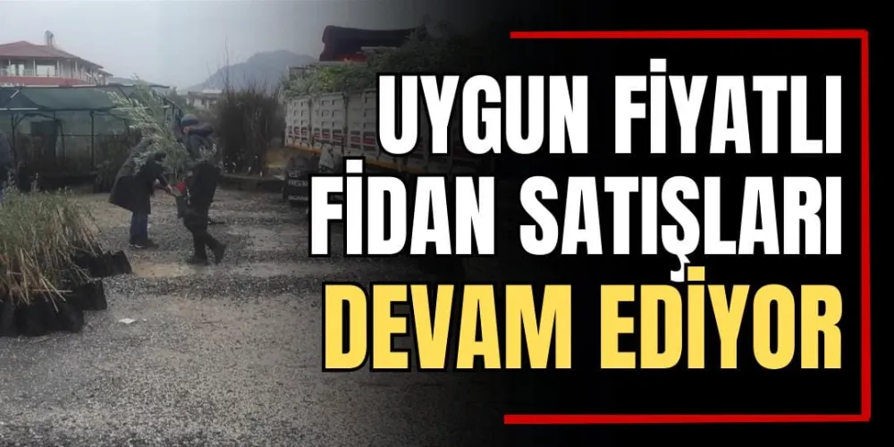 Uygun Fiyatlı Fidan Satışları Devam Ediyor 