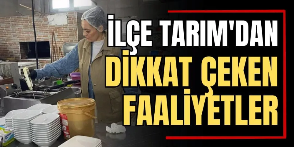 İlçe Tarım