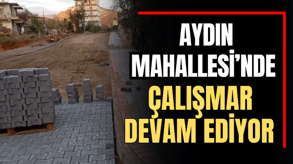 Aydın Mahallesi’nde Çalışmalar Devam Ediyor  