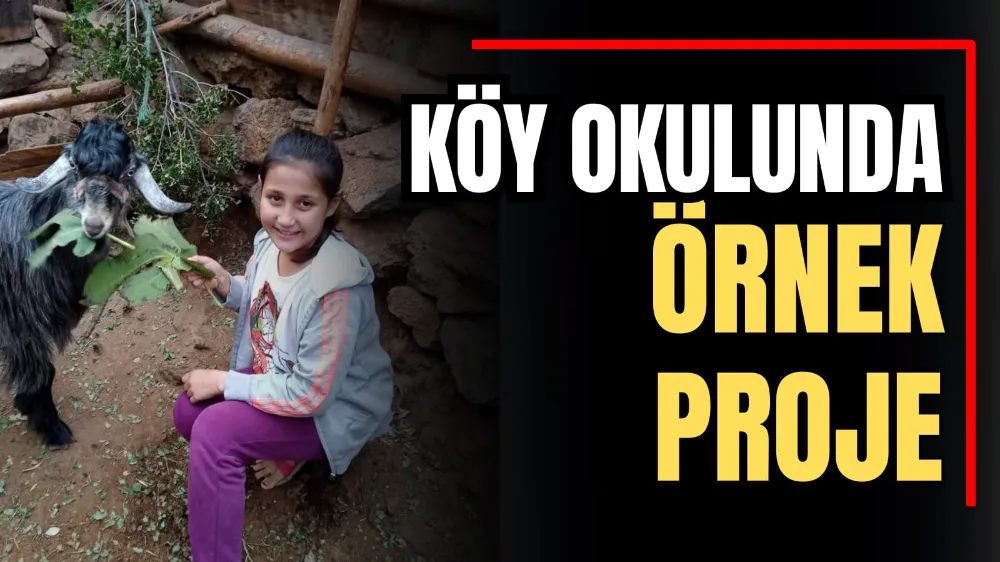 Köy Okulunda Örnek Proje 