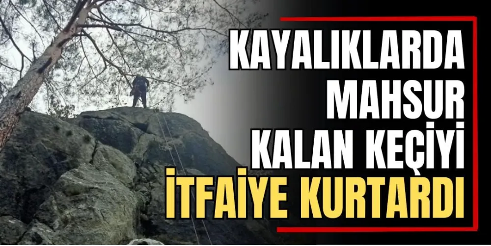 Kayalıklarda Mahsur Kalan Keçiyi İtfaiye Kurtardı