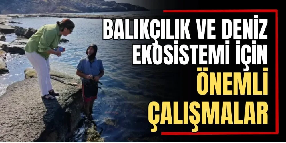 Balıkçılık ve Deniz Ekosistemi İçin Önemli Çalışmalar 