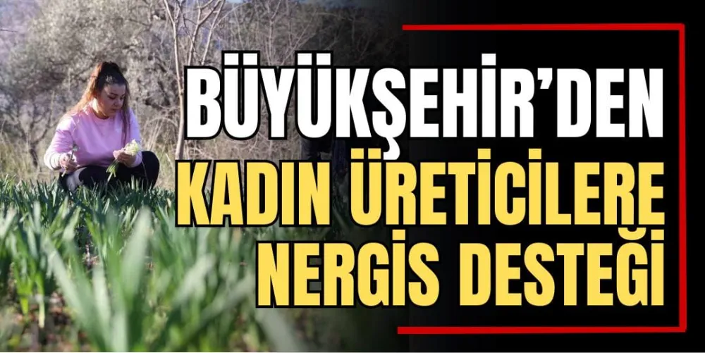 Büyükşehir’den Kadın Üreticilere Nergis Desteği 