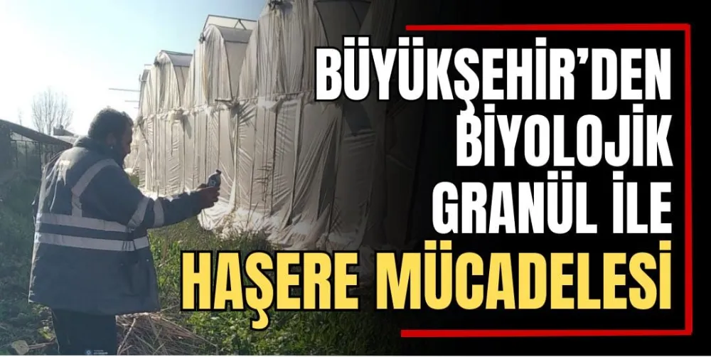 Büyükşehir’den Biyolojik Granül ile Haşere Mücadelesi  