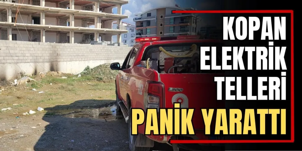 Kopan Elektrik Telleri Panik Yarattı 