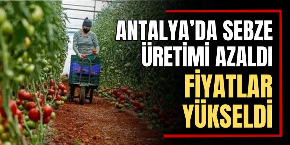 Antalya’da Sebze Üretimi Azaldı, Fiyatlar Yükseldi 