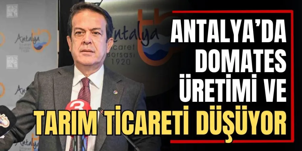 Antalya’da Domates Üretimi ve Tarım Ticareti Düşüyor 