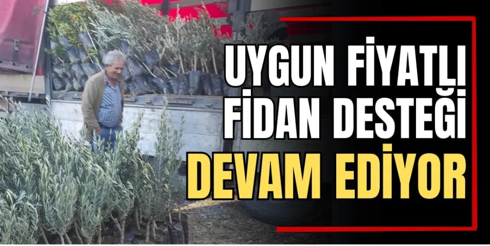 Uygun Fiyatlı Fidan Desteği Devam Ediyor 