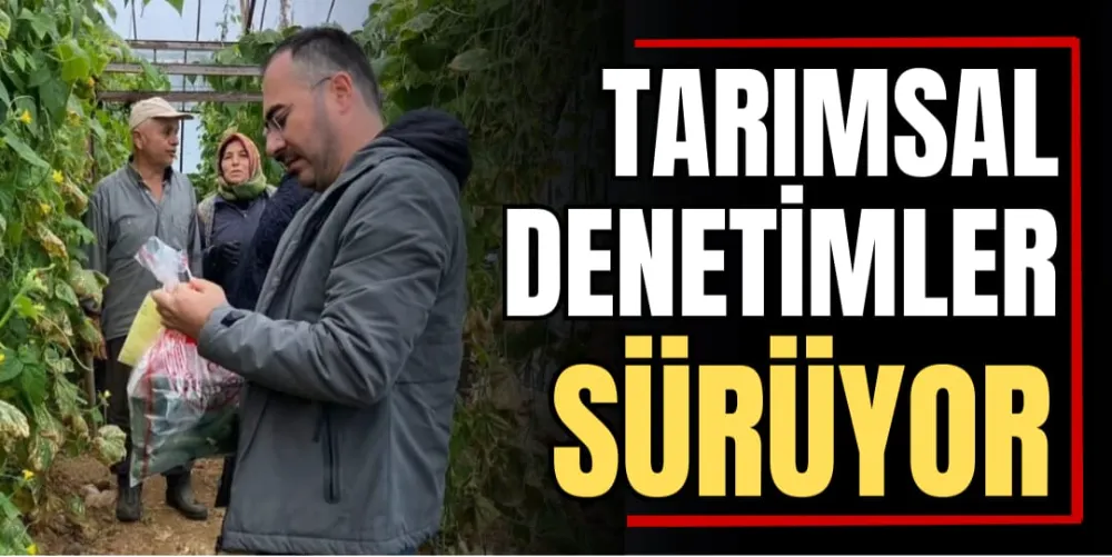 Tarımsal Denetimler Sürüyor 