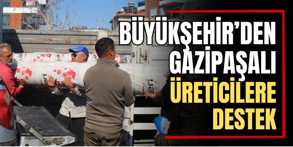 Büyükşehir