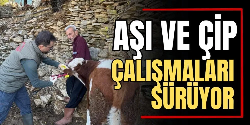 Aşı ve Çip Çalışmaları Sürüyor