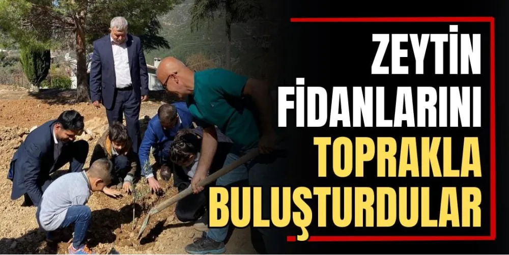 Zeytin Fidanlarını Toprakla Buluşturdular 