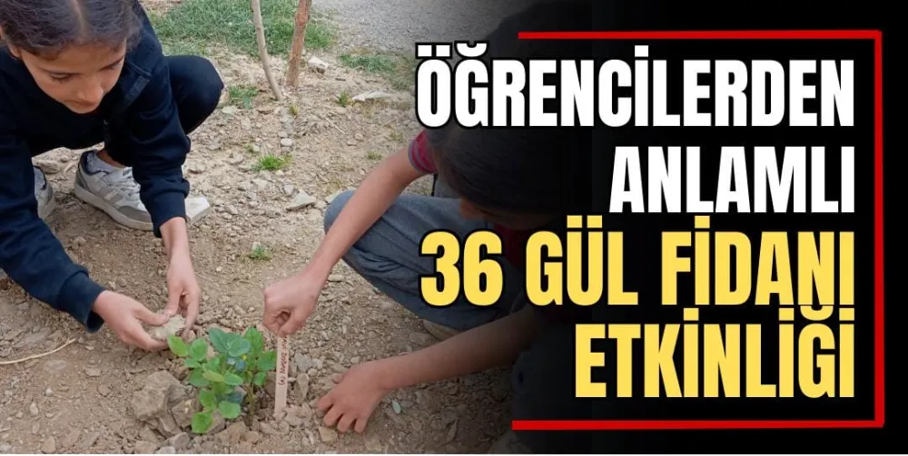 Öğrencilerden Anlamlı 36 Gül Fidanı Etkinliği 