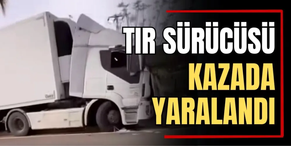 Tur Sürücüsü Kazada Yaralandı
