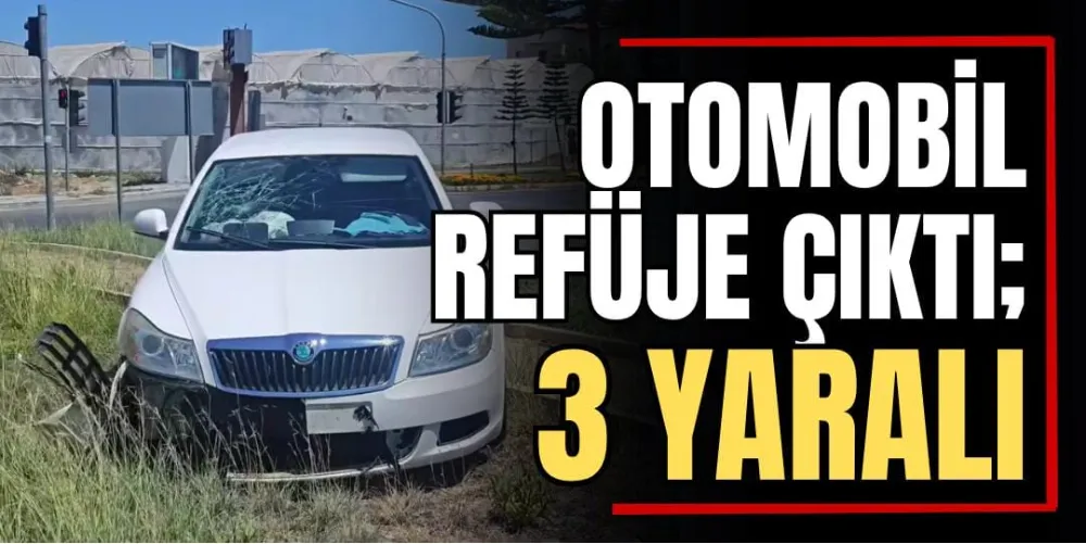 Otomobil Refüje Çıktı; 3 Yaralı 