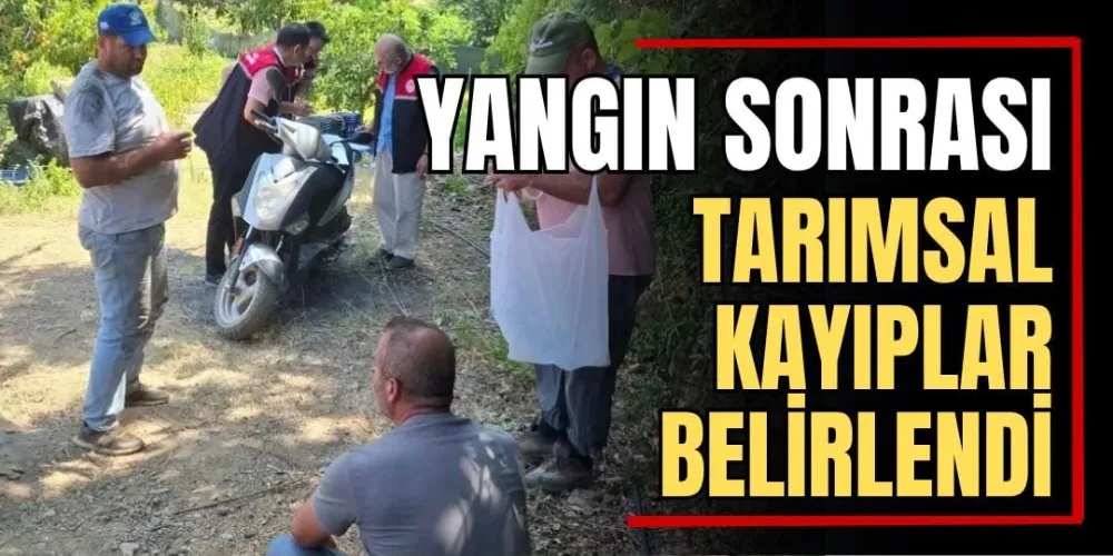 Yangın Sonrası Tarımsal Kayıplar Belirlendi 