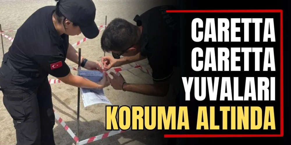 Caretta Caretta Yuvaları Koruma Altında  