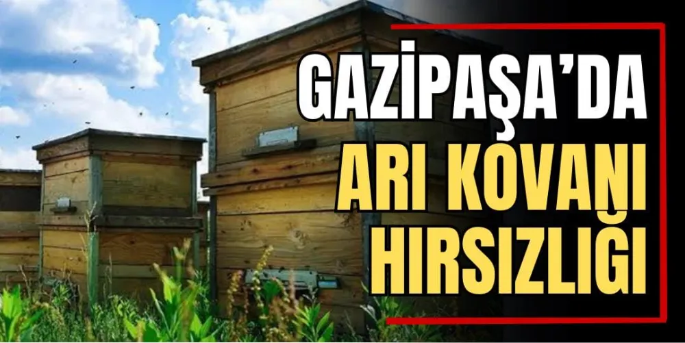 Gazipaşa’da Arı Kovanı Hırsızlığı 