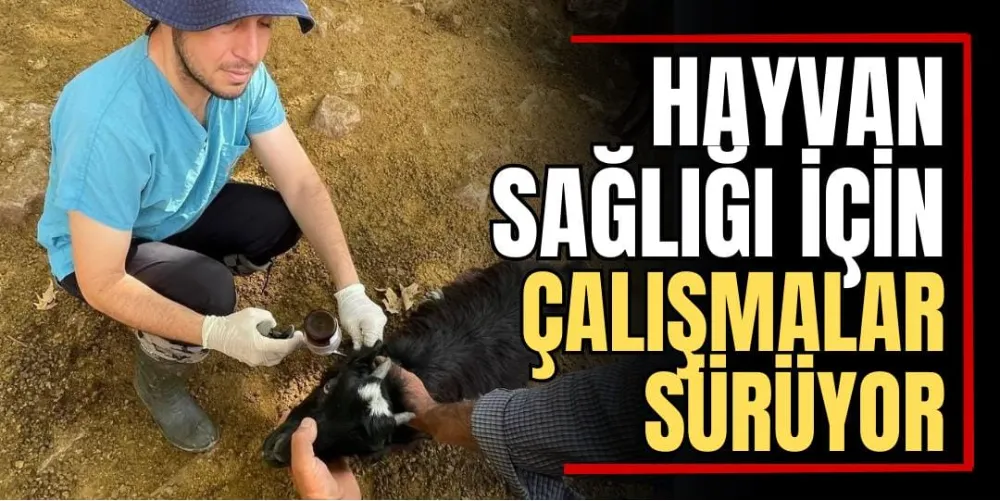 Hayvan Sağlığı İçin Çalışmalar Sürüyor 