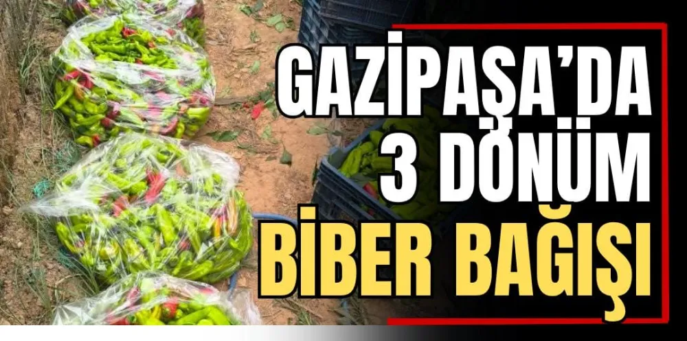 Gazipaşa’da 3 Dönüm Biber Bağışı 