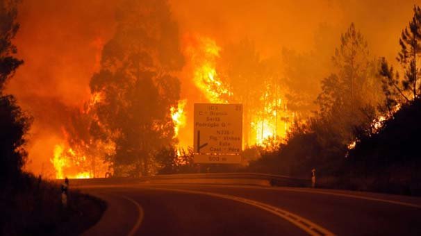 Portekiz`deki orman yangınlarında ölü sayısı yükseldi